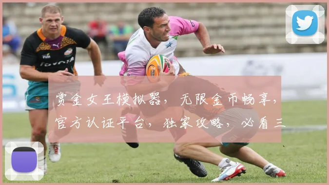 赏金女王模拟器，无限金币畅享，官方认证平台，独家攻略，必看三步