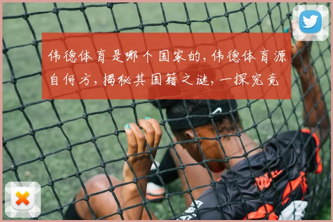 伟德体育是哪个国家的,伟德体育源自何方,揭秘其国籍之谜,一探究竟