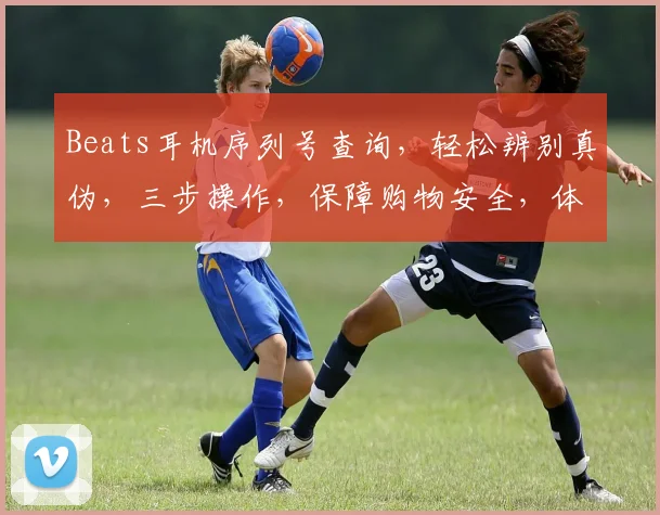 Beats耳机序列号查询，轻松辨别真伪，三步操作，保障购物安全，体验原装品质。
