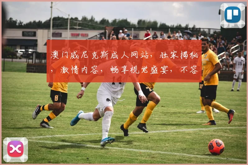 澳门威尼克斯成人网站，独家揭秘，激情内容，畅享视觉盛宴，不容错过